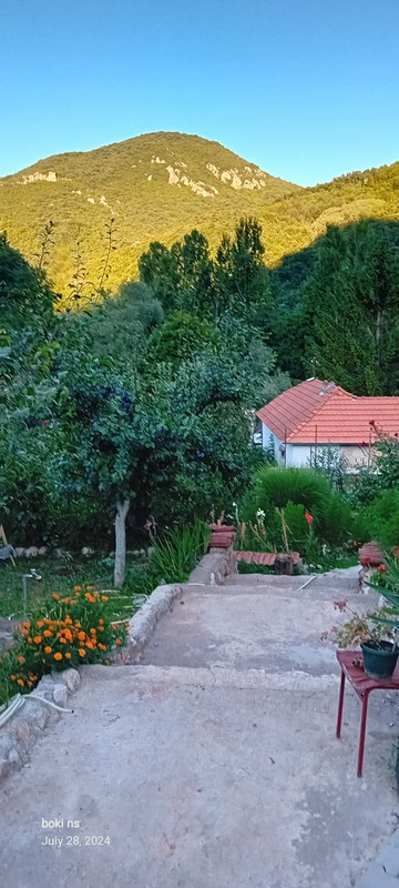 Slika