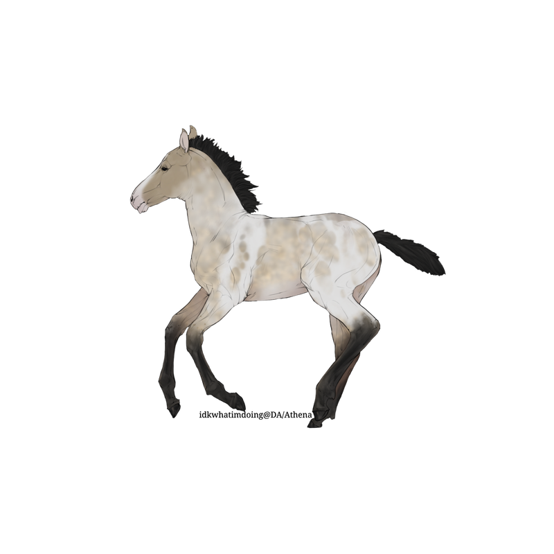 Untitled88-20250713204741.png