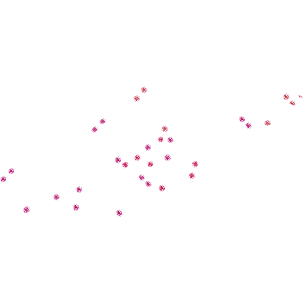 KBK_BunnyTrail (108)