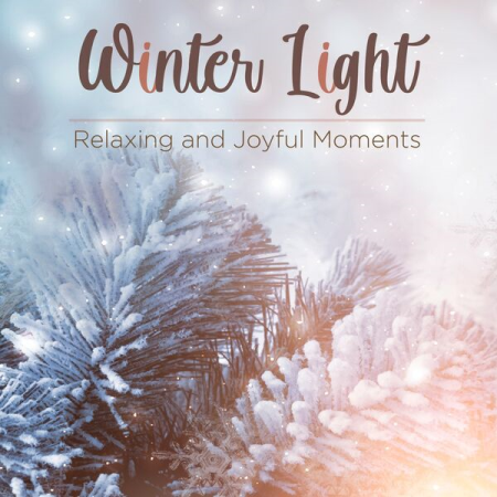 VA - Winter Light Relaxing and Joyful Moments (2022)