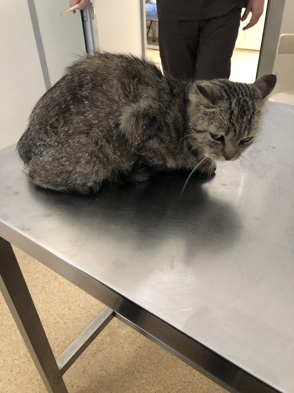 6189AA56-94D8-4121-9994-106B733228FD