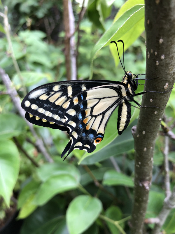 855336A0-3052-4C24-B693-FE0A43B9CDAD