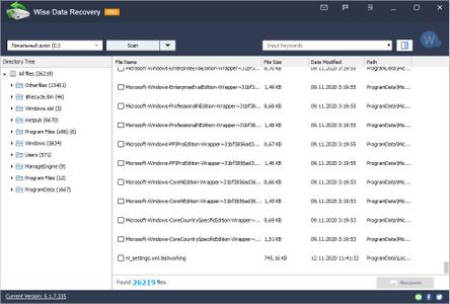 Wise Data Recovery Pro 6.1.1.492 Multilingual