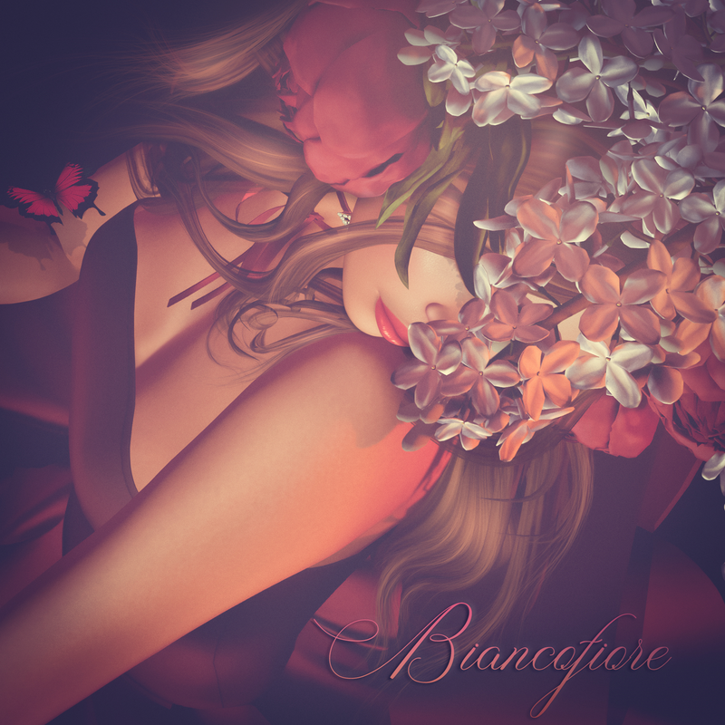 Immagine di Biancofiore