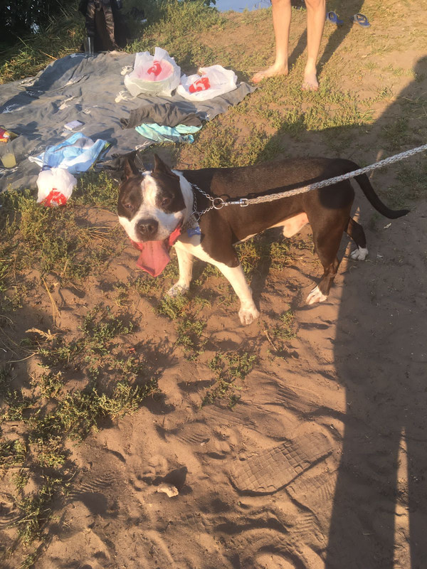 ED5E567E-DACA-4981-84E3-FC593A37F736