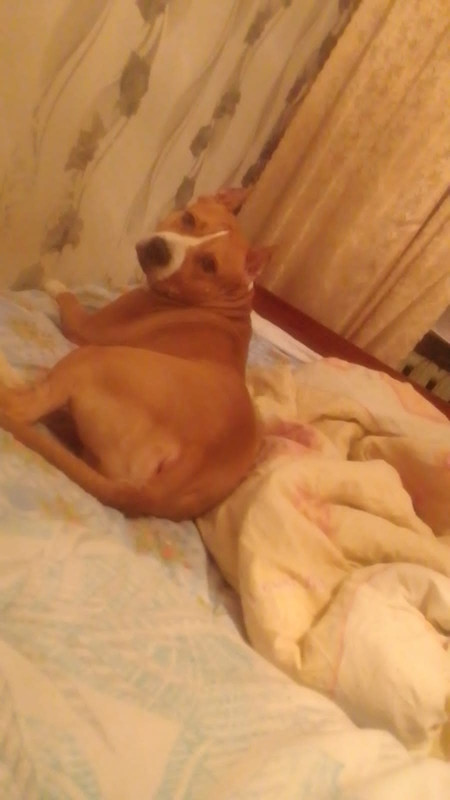 822B0440-CA80-46EF-8EA0-DDB37907CEF0