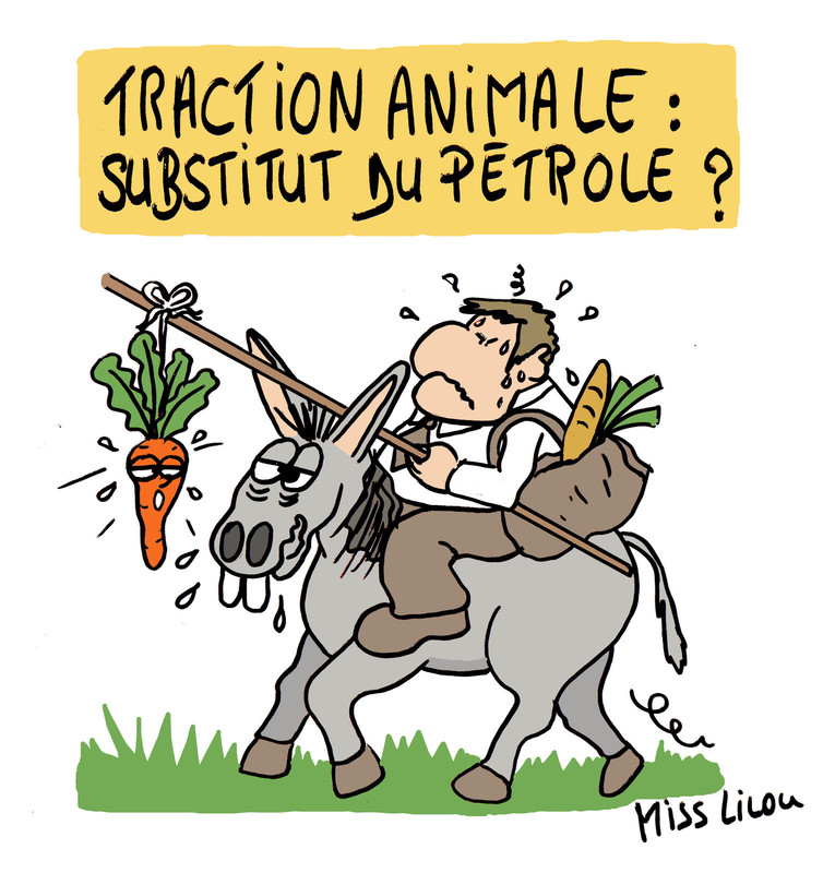 29-juin-2019-traction-animale-substitut-du-petrole