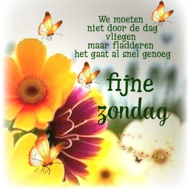 zondag