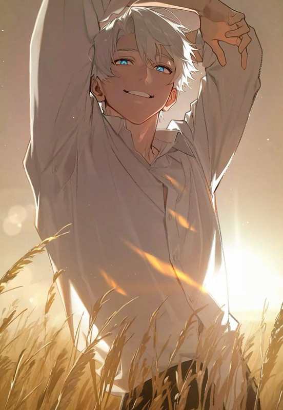 b5e8c6f76237a63052477c23f4d953e1