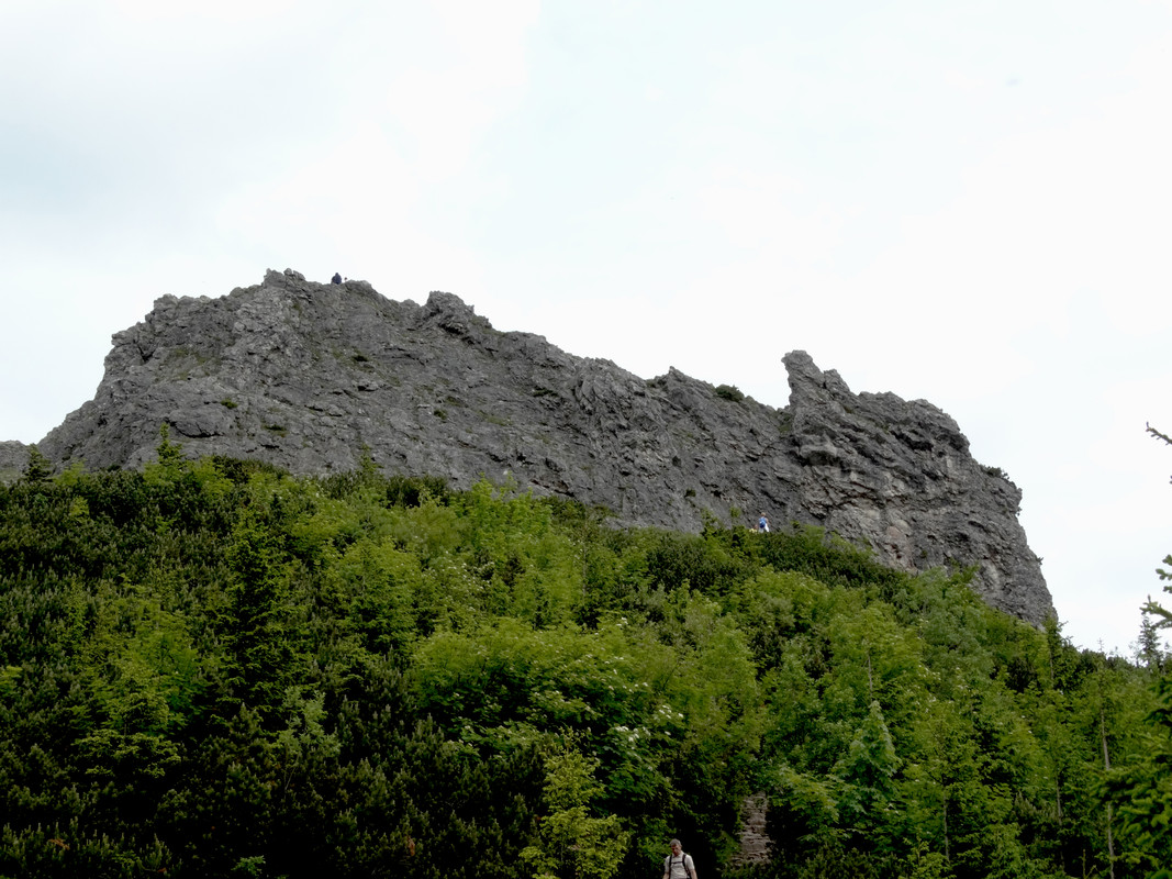 02.17 - DSC08005 (Czesio1)