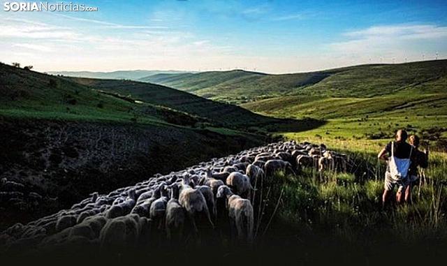 EL DOCUMENTAL “AÚN SE BENDICEN LOS CAMPOS”, DE VERA HERRERO MERCADER, SE PRESENTARÁ EN LA SEMINCI 2019