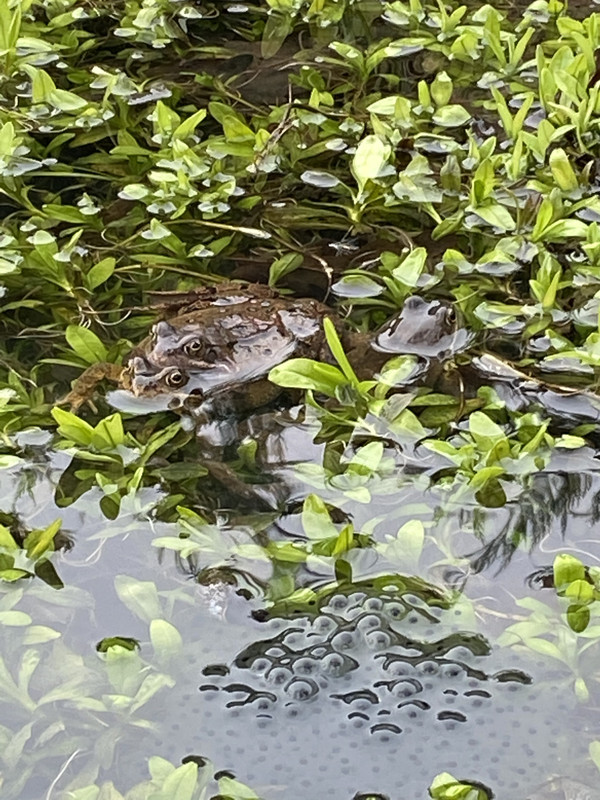 BB31F3AB-C80C-47DE-B7E6-CB2BB4E2FC0B