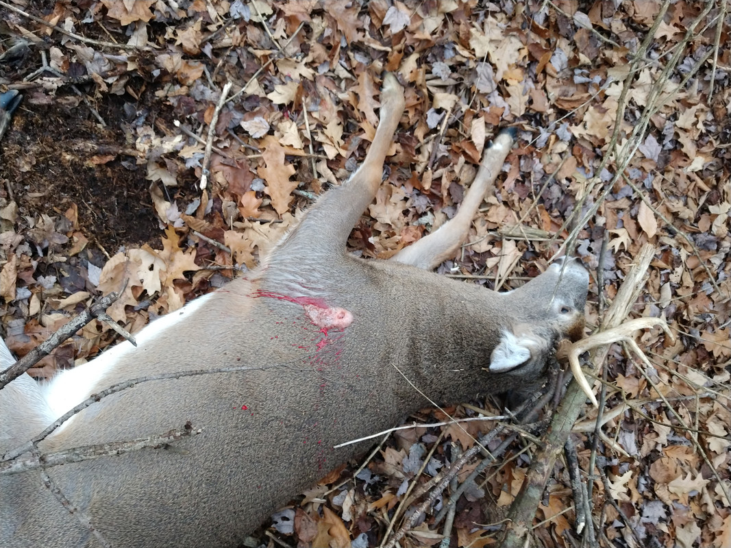 IMG_20201121_074002510