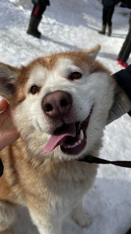 WhatsApp Image 2024-02-26 at 14.29.40 (1)