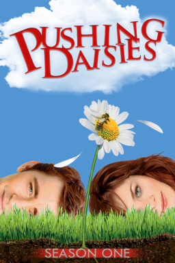 Poster: Pushing Daisies S01 HDTV