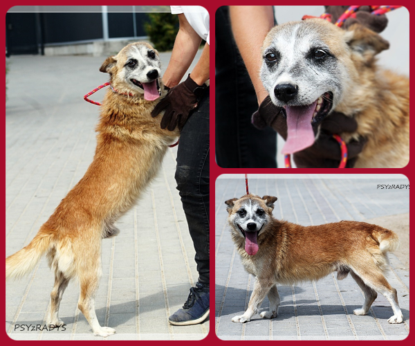 BeFunky-collage (16)