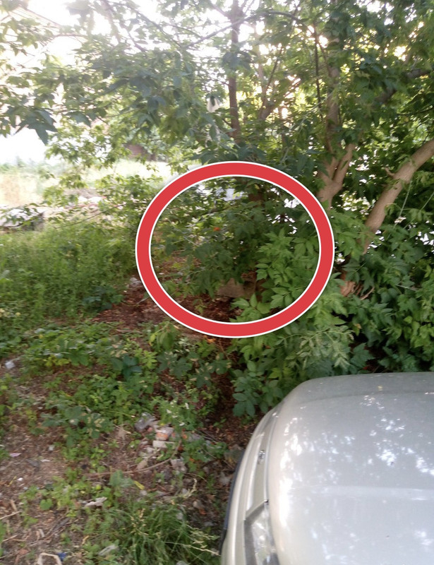 48528507-819E-421D-84EE-9C72A0207C8E