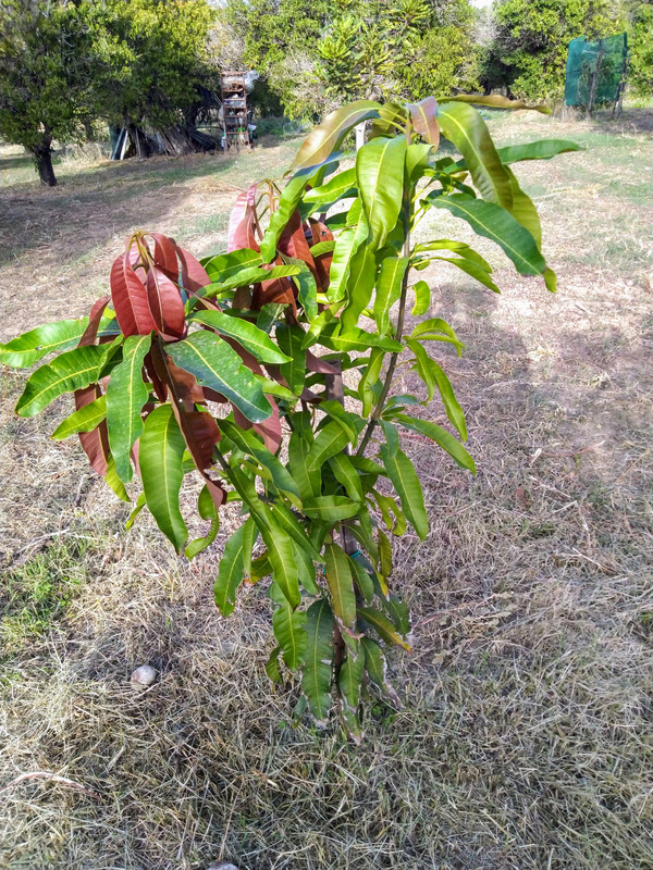 IMG_20231024_162612~2