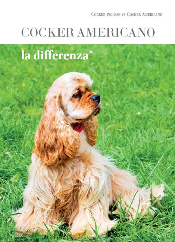 Argos Ott-Nov 2023 (12)