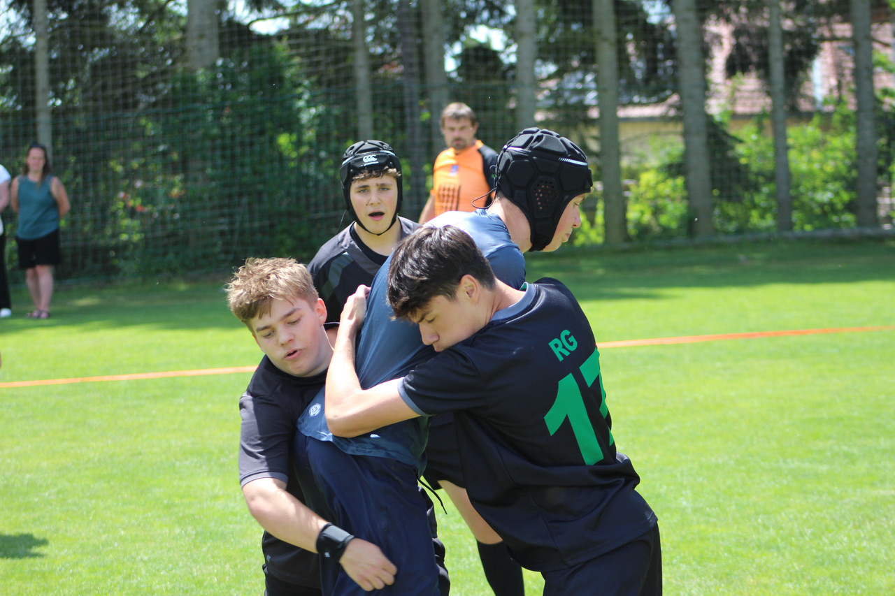 IMG 7190