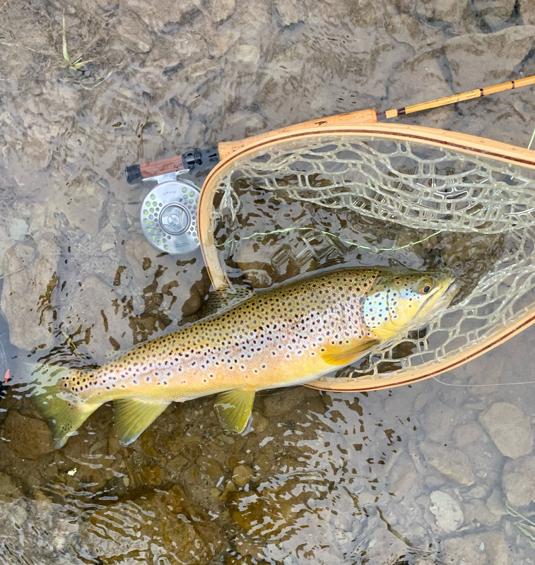 81D90B2D-1A20-45BC-AB86-8D84D16C9D54