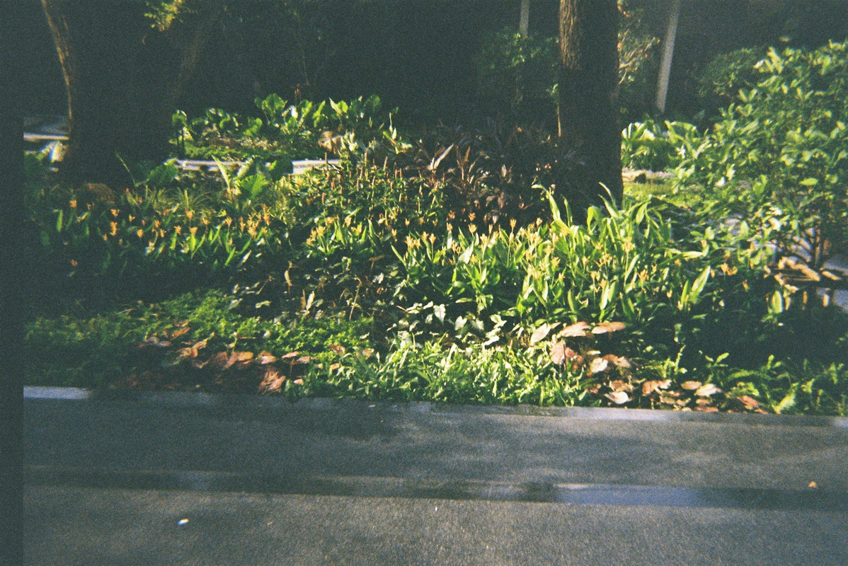 Colorplus-44-resize