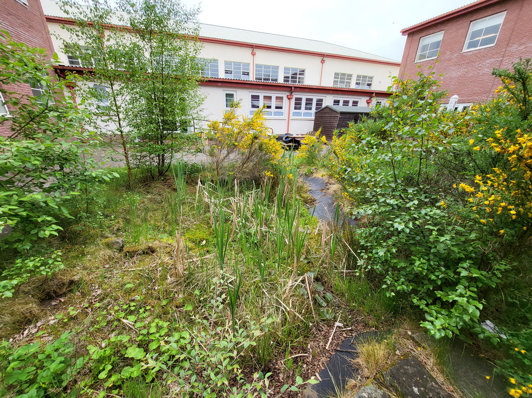 20230607 163244 — Postimages