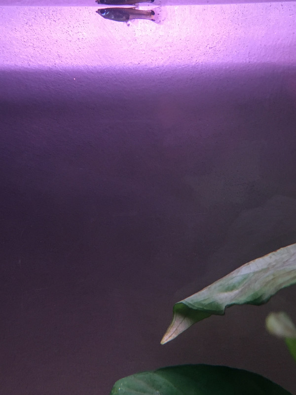 73536C78-F0F9-4755-BE76-1AAFEBEB679A