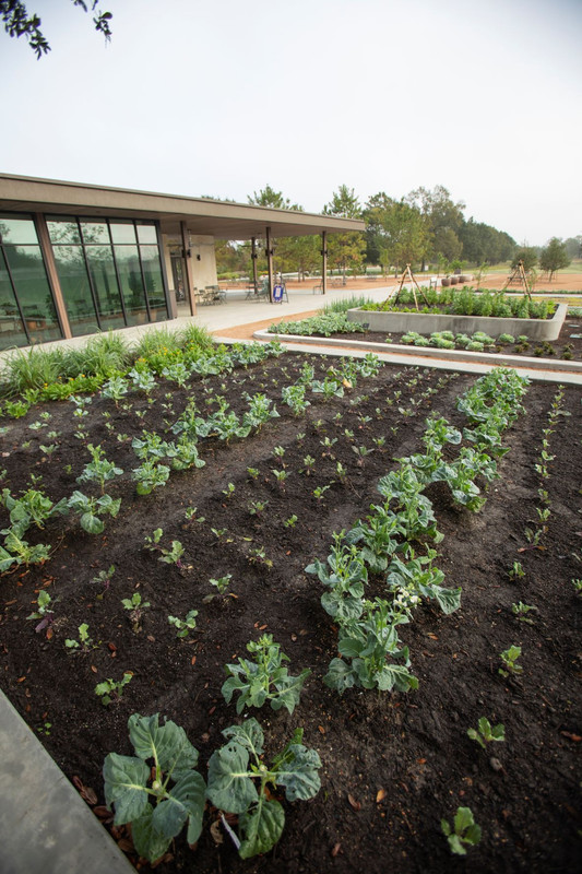 Culinary Garden and Welcome Pavilion Veranda