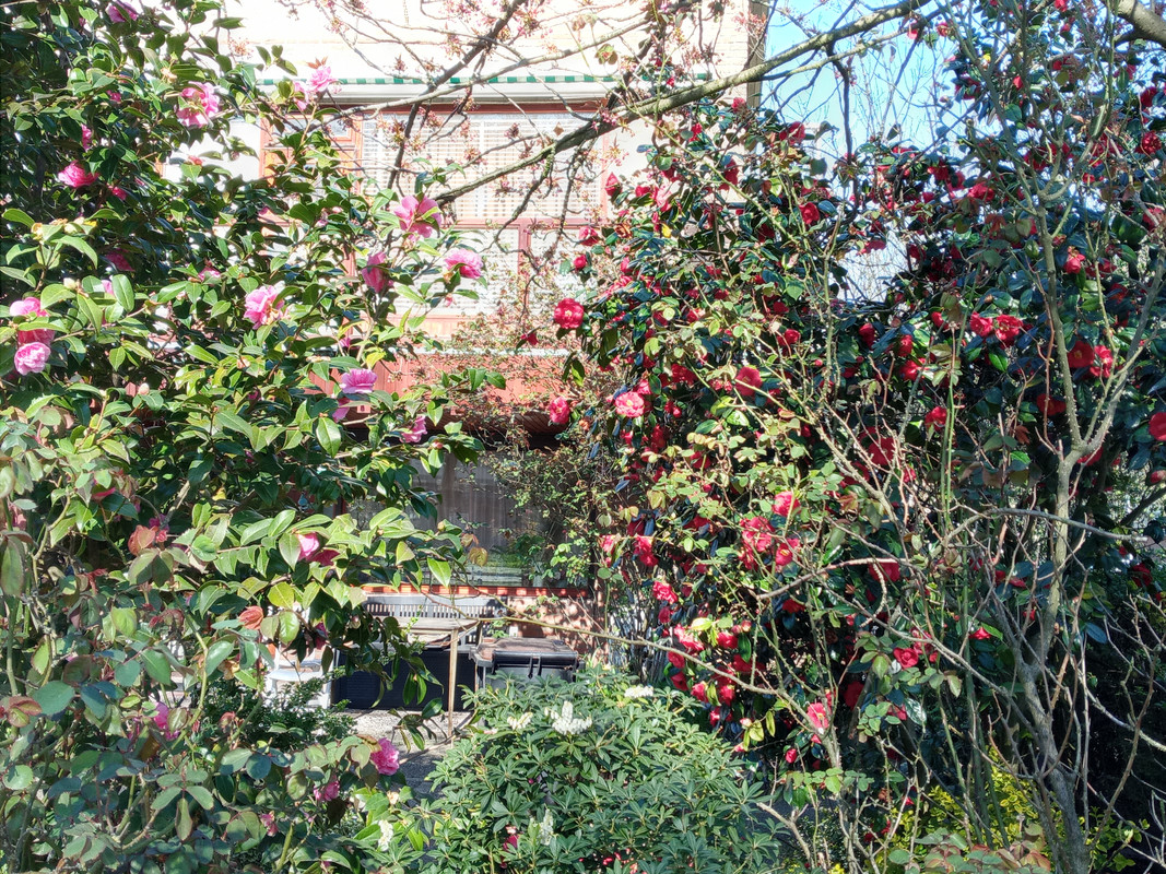 [Image: 20220327-160341.jpg]