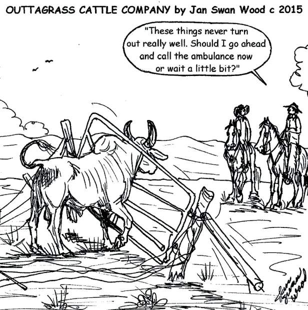 Beef Cattle Memes
