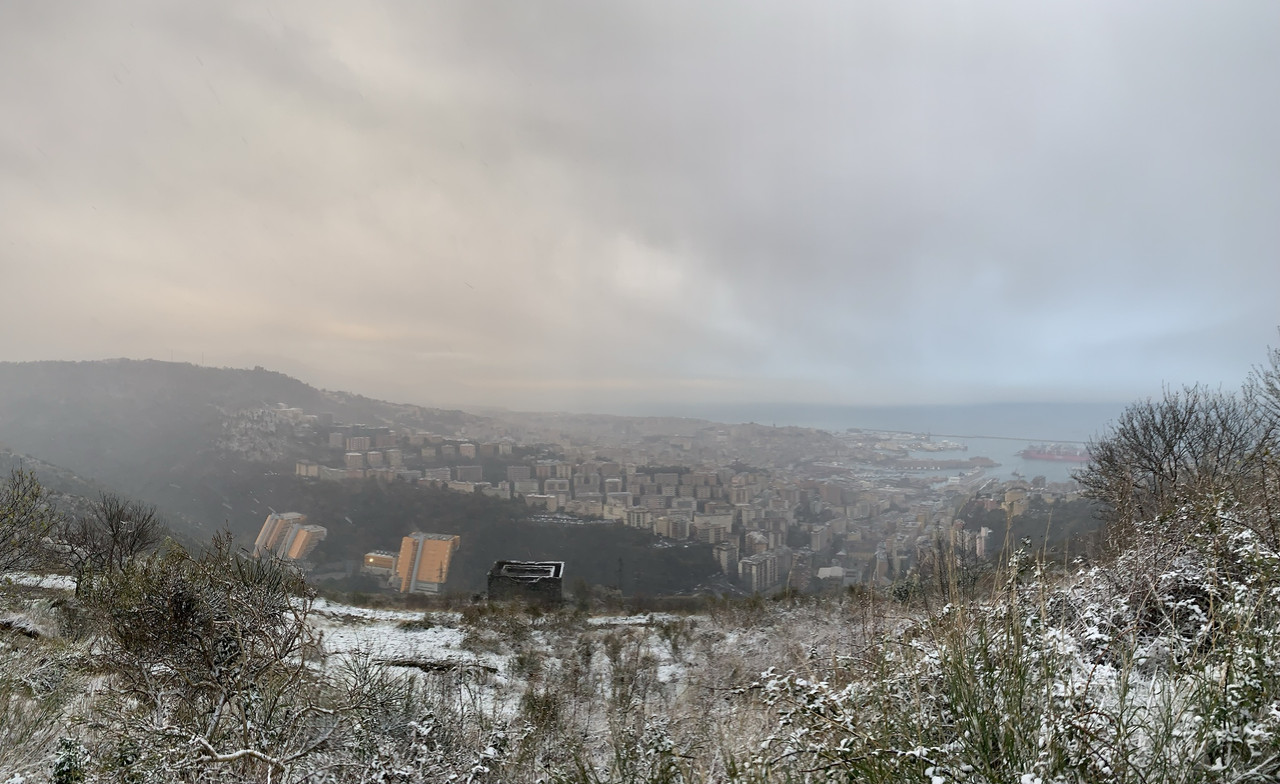 1B3D23D0-92DB-4362-A48F-3F481EF83461