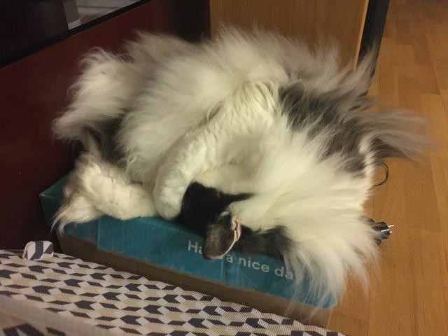 8-B4131-A3-0-F7-A-41-A9-BCF5-4381-DFBA4-