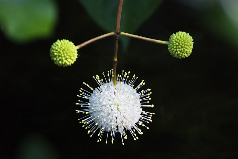 2CFF495D-5147-4679-BC44-B8261E340F88