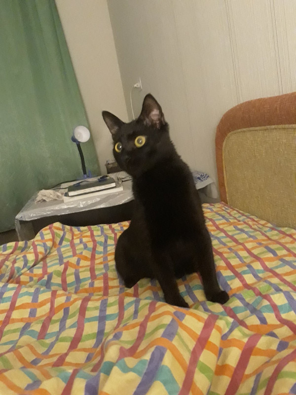 BC696EC3-AECB-45D9-BAA9-61BB5B10AB25