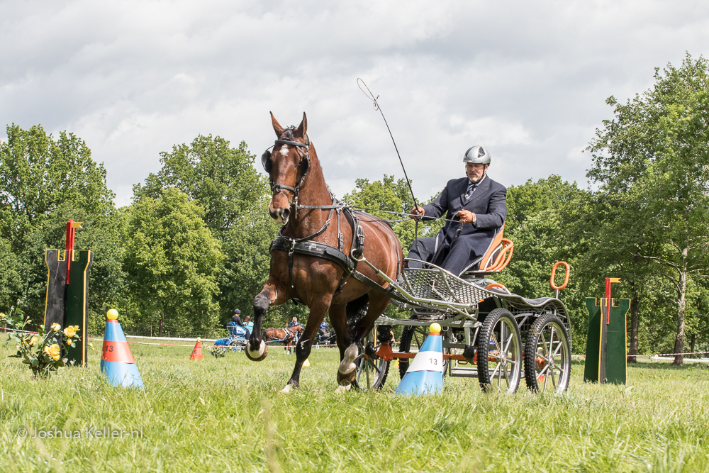 MG-9615vaardigheid-dressuur-nienoord-2022