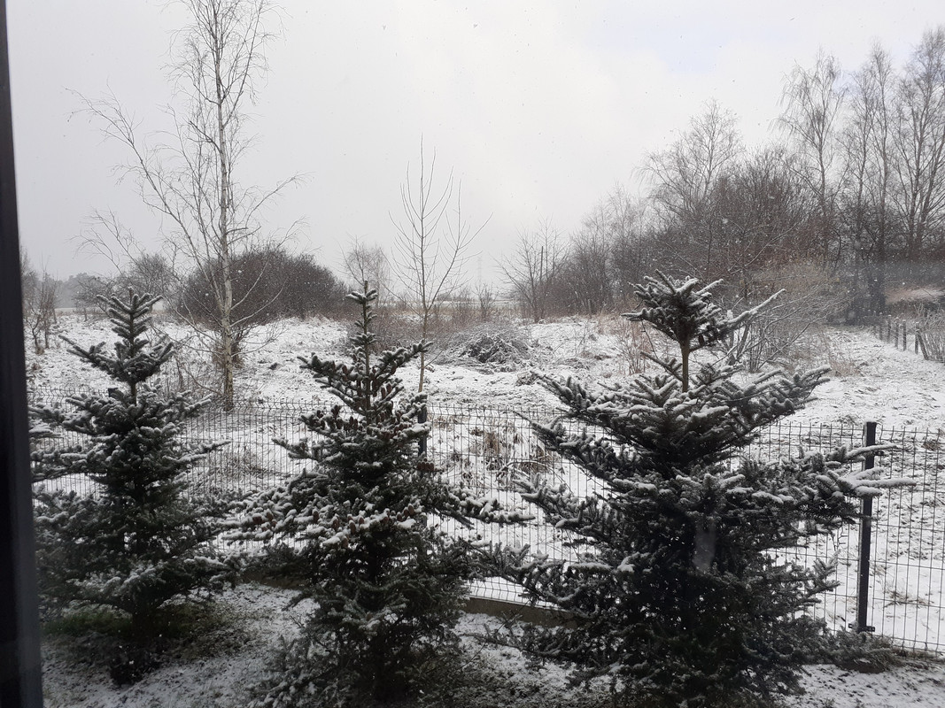 [Obrazek: 20230226-084936.jpg]