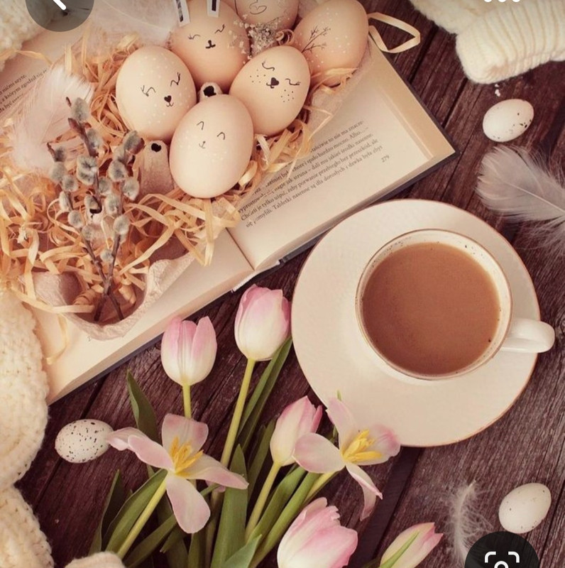 Screenshot_20230413_234242_Pinterest