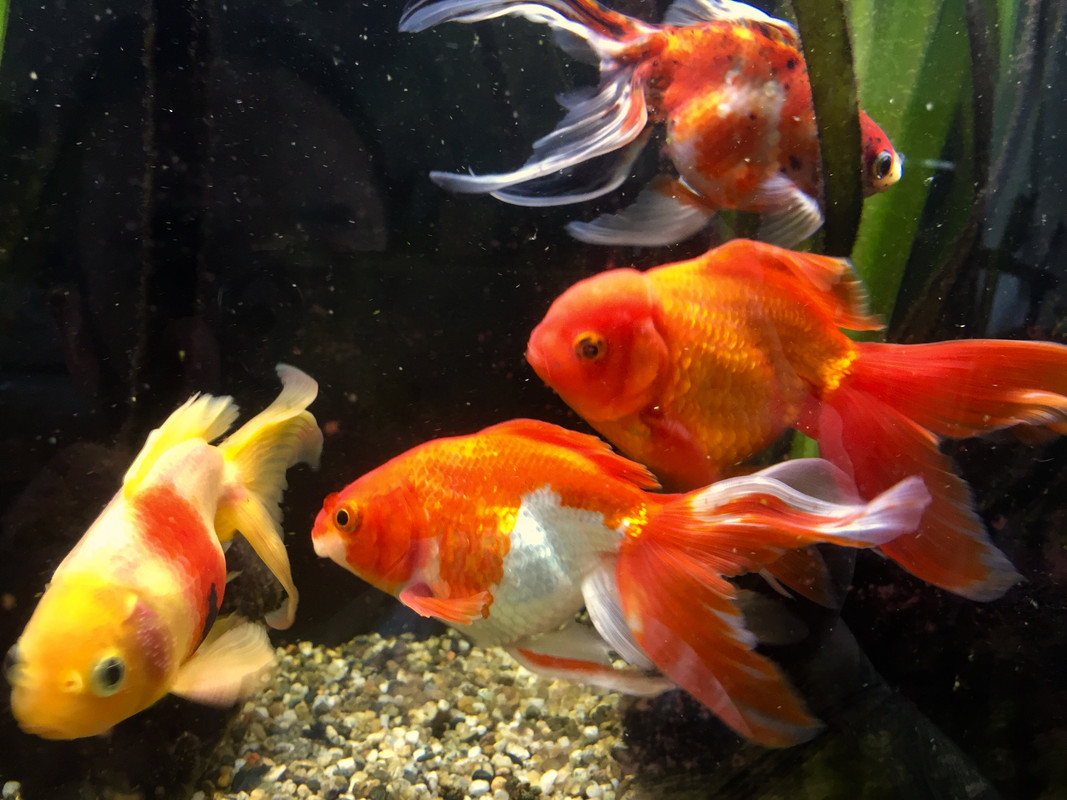 6A4EEA6B-2FF5-4B94-B0D7-55642807B554