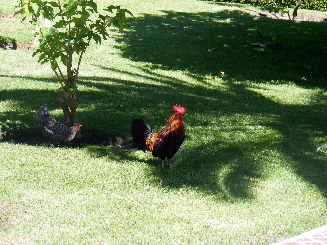 DSCF9865.jpg
