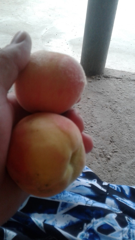 15949579927991025581668