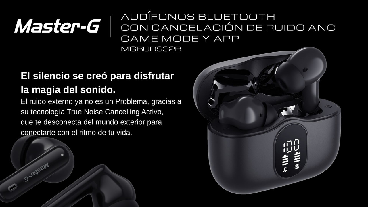 imagen-1