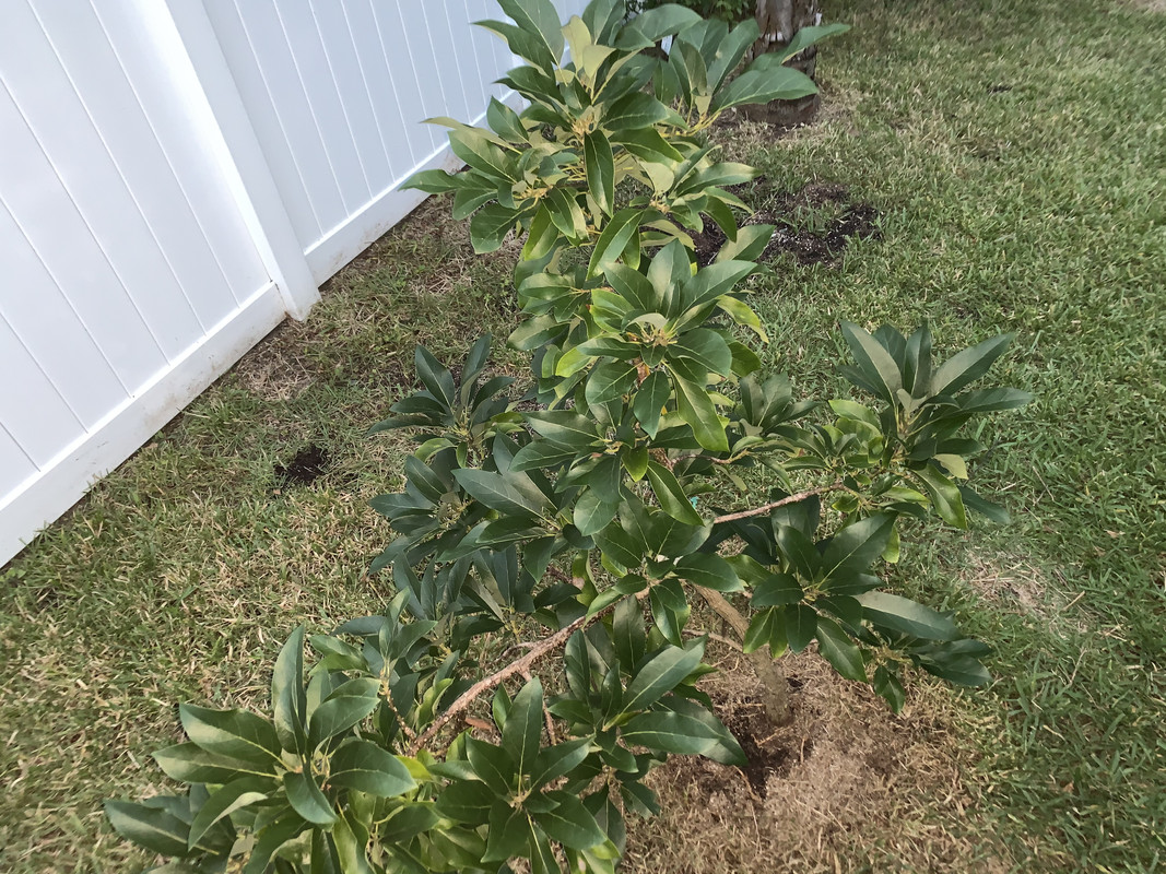 6F4A288D-97BA-44C9-A226-DEF6DA32F3EF