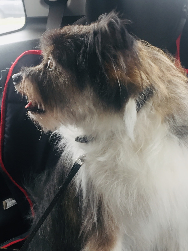 E0548316-3EE2-4D59-BE97-5E64D56DD10B