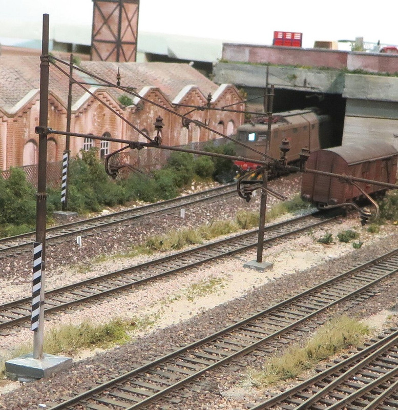 Boscoscuro 3 8 22 (8)