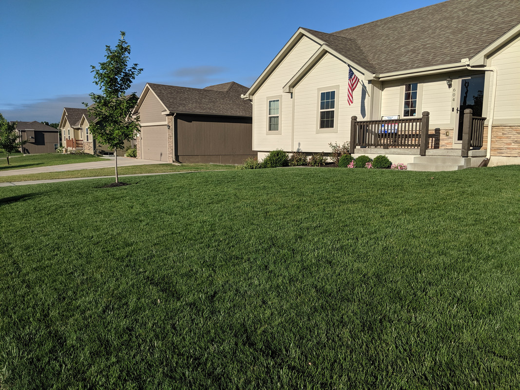 Transition Zone - Page 2 - The Lawn Forum