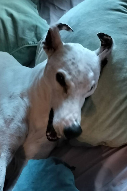 signal-2025-10-18-12-07-40-918~2