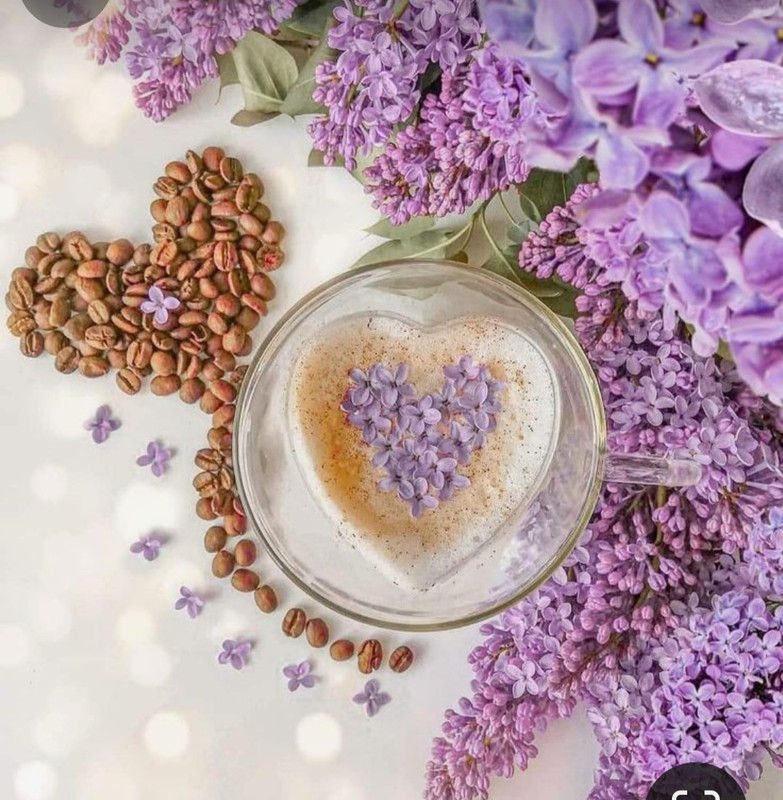 Screenshot_20240404_221801_Pinterest