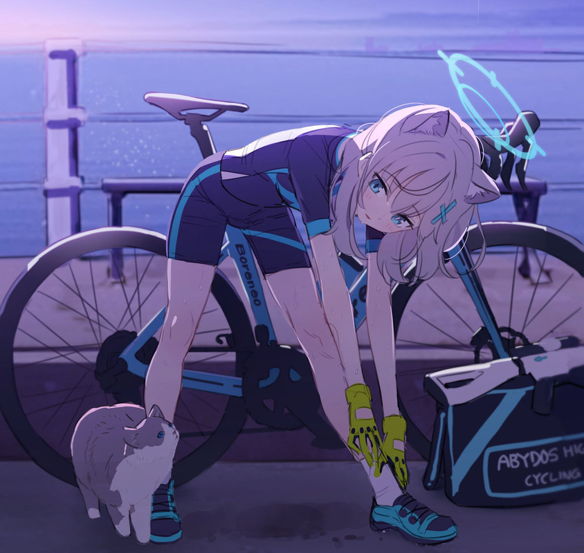 shiroko-blue-archive-drawn-by-ytmkz-103f0331a9c7eb4655051fa14e3c49fb-1