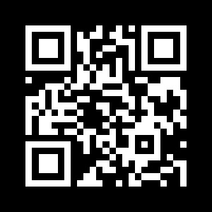 qr evs 2411